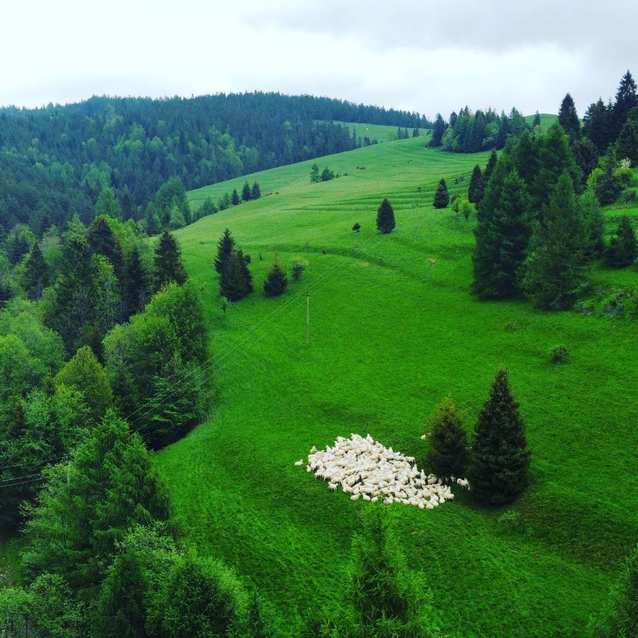 Dziejba Lesna Apartamenty &Spa - Piekne I Nowe Apartamenty I Domek, Sauna I Jacuzzi - W Cenie I Na Wylacznosc, 1 Km Od Stoku ยาวอร์กิ ภายนอก รูปภาพ