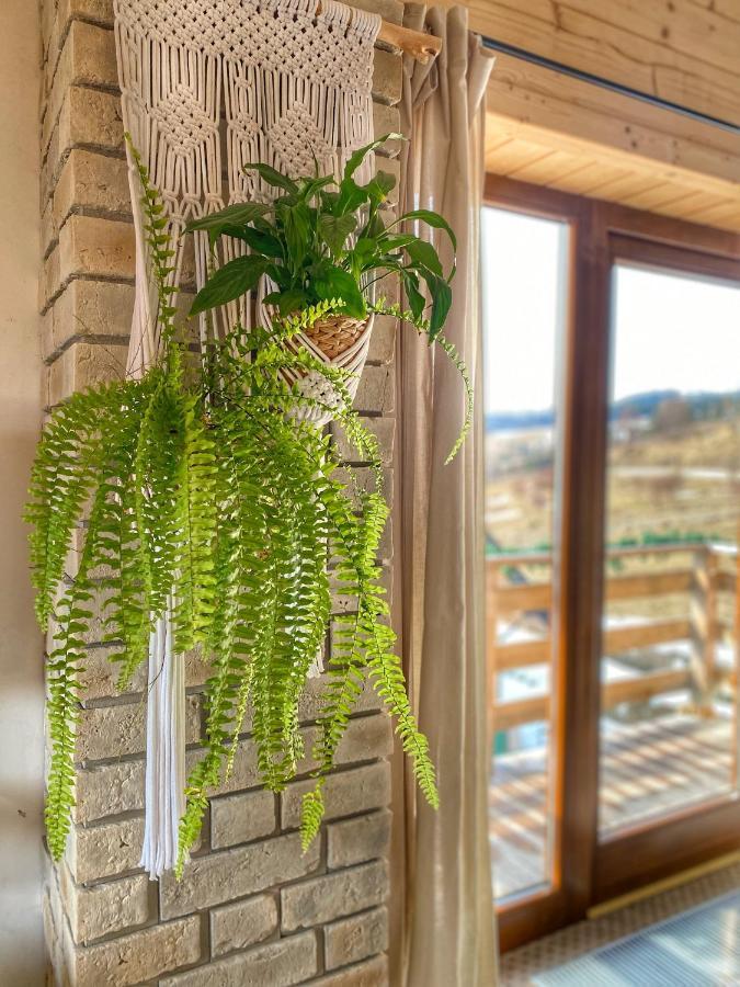 Dziejba Lesna Apartamenty &Spa - Piekne I Nowe Apartamenty I Domek, Sauna I Jacuzzi - W Cenie I Na Wylacznosc, 1 Km Od Stoku ยาวอร์กิ ภายนอก รูปภาพ