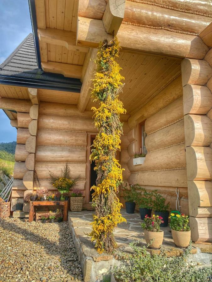 Dziejba Lesna Apartamenty &Spa - Piekne I Nowe Apartamenty I Domek, Sauna I Jacuzzi - W Cenie I Na Wylacznosc, 1 Km Od Stoku ยาวอร์กิ ภายนอก รูปภาพ